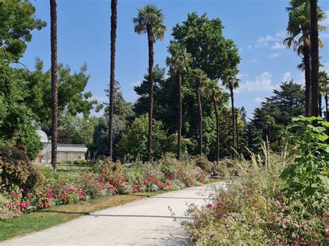 Le Jardin Botanique de Bengbu : Un Oasis verdoyant au cœur d'une ville vibrante !