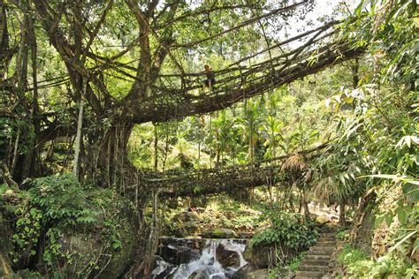 Le Pont de Tuoping: Symbiose spectaculaire entre l'ingénierie et la nature !