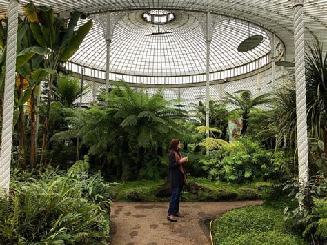 Le Jardin Botanique de Glasgow: Un Oasis Vert et un Refuges pour les Esprits Curiosité !