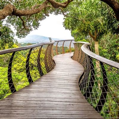 Le Jardin Botanique National de Kirstenbosch: Une Oasis verdoyante en plein cœur du Cap!