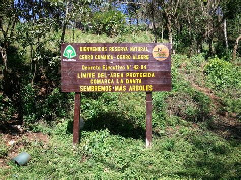 Le Parc de la Reserva Natural La Vieja: Un Voyage Fascinant à Travers des Formations Volcaniques Uniques!